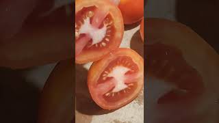 HOW I PREPARE AROMATICS amp TOMATOES FOR PAKBET😯 amazingsounds slicing aromatic viralvideo shorts [upl. by Ng]