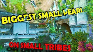 Building The THICKEST SMALL SOLO Pearl Cave On Small Tribes  ARK Ascended Smalls Ep12 [upl. by Annairda]