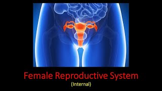 Ovary Prof Dr Md Ashfaqur Rahman [upl. by Manwell816]