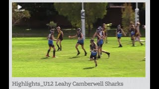 Highlights U12 Leahy Camberwell Sharks [upl. by Ane99]