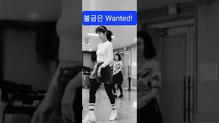 Wanted linedance [upl. by Dora]