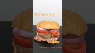 Burger time lapse15 days in 10 seconds timeslapse shortvideo food burger [upl. by Rosco992]