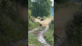 Tenere 700 Vs Deep Puddles check it out riders enduro adventuremotorcycle offroad [upl. by Etireuqram]