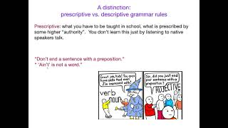 AcqOfLang1 Prescriptive vs Descriptive Grammar Rules [upl. by Kachine]