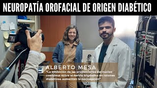 Neuropatía diabética por inhibición de las proyecciones del núcleo coeruleus sobre el trigémino [upl. by Annabelle150]