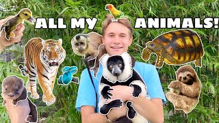 ALL MY ANIMALS IN ONE VIDEO  FULL PROPERTY TOUR [upl. by Naivart109]