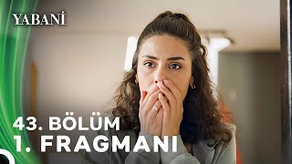 Yabani 43 Bölüm 1 Fragmanı [upl. by Netfa826]