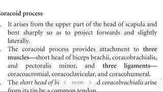 Coracoid process of scapula [upl. by Yarg]