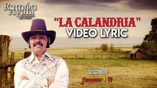 Ramon Ayala  La Calandria  VIDEO LYRIC OFICIAL [upl. by Aisatana763]