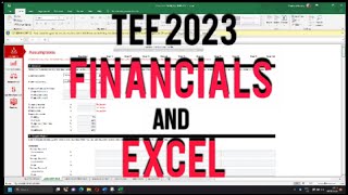 HOW TO FILL TONY ELUMELU FOUNDATIONS FINANACIAL STATEMENTS WITH EXAMPLES [upl. by Sansbury789]