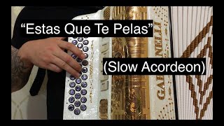 quotEstas Que Te Pelasquot Intocable Slow Acordeon [upl. by Neved]