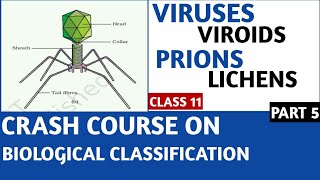 Crash Course NCERT Class 11 VirusesViroidsPrionsLichens Part5 NEETAIIMSJIPMER [upl. by Dnarud373]