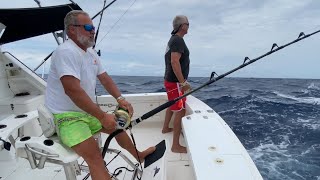 Heavy Tackle Giant Black Marlin fishing Cairns Great Barrier Reef Australia 2022 [upl. by Llibyc]