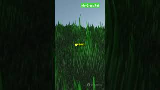 Best Grass For Home Garden [upl. by Ahsinnek]