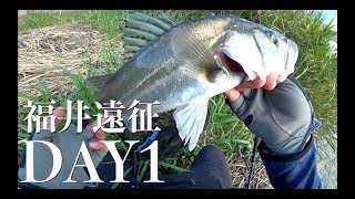 清流シーバスに、逢いに行く。編【福井遠征 DAY1】 [upl. by Anaeerb]