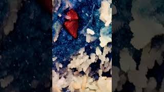 Red Heulandite Pink Stibnite and Druzy Blue Chalcedony create rare geode combinations rocks [upl. by Llerrat]