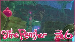 Alien Birds Flower Crystals and Hidden Hunter Slimes ☄️ Slime Rancher  Episode 36 [upl. by Melone878]