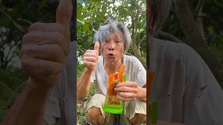 Eat spicy candy in the forest survival bushcraft camping hacks [upl. by Gussie]