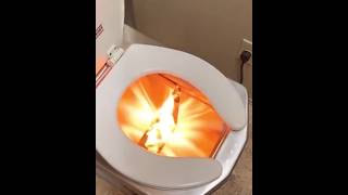 A fire breaks out under this toilet shortvideos amazingfacts [upl. by Bardo185]