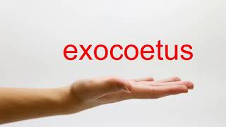 How to Pronounce exocoetus  American English [upl. by Solotsopa]