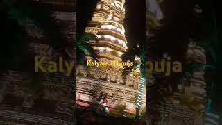 Kalyani ITI puja pandal 2024viral puja pandal [upl. by Wilterdink101]