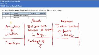 22 Differentiate between alveoli and nephron on the basis of the following points [upl. by Ohare657]