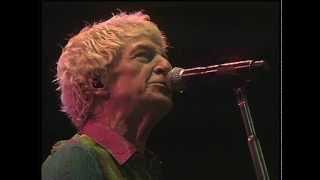 REO SPEEDWAGON In Your Letter 2010 LiVe [upl. by Ilarrold]