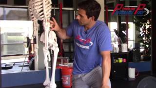 Nerve Tension vs Hamstring Tightness [upl. by Attener]