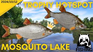 Common Roach Trophy Hotspot Mosquito Lake Russian Fishing 4 [upl. by Yacano]