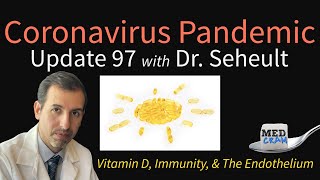 Coronavirus Pandemic Update 97 Vitamin D amp COVID19 Immunity The Endothelium amp Deficiencies [upl. by Nnaeitak]