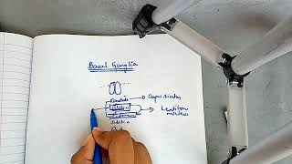 BASAL GANGLIA physiology with most important points ch 57 guyton part 1 [upl. by Feinstein]