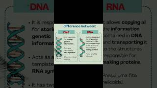 biologymcq biological shorts viralvideo trendingshorts biology [upl. by Augusta]