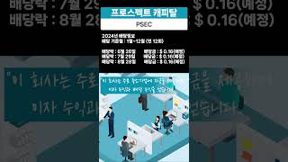 프로스펙트 캐피탈PSEC 금융 투자사 월배당 [upl. by Pang]