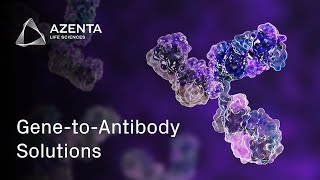 Recombinant Antibody Production for Enhanced Downstream Research [upl. by Eob308]