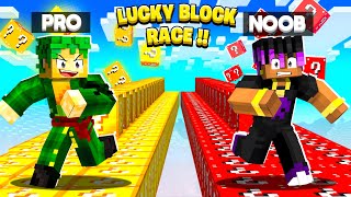 NOOB vs PRO Luckyblock Challenge with LILYVILLE Member🤯 [upl. by Leland]