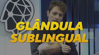 ANATOMIA DA GLÂNDULA SUBLINGUAL [upl. by Mirabelle]