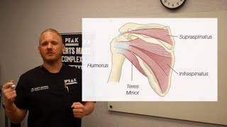 Winging Scapula Explained and How To Fix Shoulder Pain [upl. by Channing]