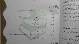 class 4 chapter 19 with answer Ustad Bismillah Khan ibtedai urdu according to syllabus and course n [upl. by Hachmann770]