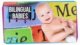 How Do Babies Become Bilingual [upl. by Essila666]