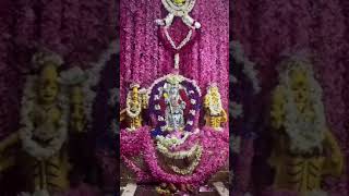 Skanda shasti 4th day pooja at temple sasti poojai [upl. by Cyrano]