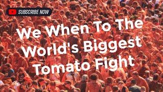 Mindblowing Thousands bathe in tomato sauce at La Tomatina [upl. by Asyral]