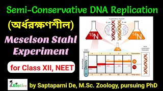 Meselson Stahl Experiment SemiConservative Mode of DNA Replication [upl. by Abate]