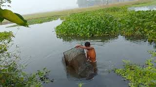 catching fish  বর্ষায় জাল দিয়ে মাছ ধরা। [upl. by Girard]