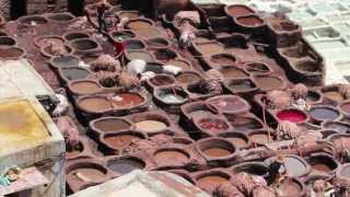 The Leather Tanneries of Fez Morocco [upl. by Erait676]