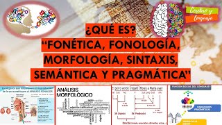 ¿Qué es Fonética Fonología Morfología Sintaxis Semántica Pragmática Temas sobre lenguaje [upl. by Gilboa]