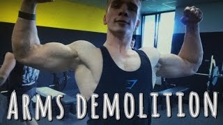 Arms demolition biceps amp triceps workout  Patryk Kmet [upl. by Odell]