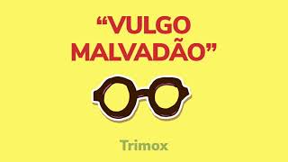 Vulgo malvadão  pagodão  tiktok trimox remix [upl. by Falconer]