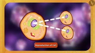 Nucleus and Cytoplasm  Part 11  English  Class 9 [upl. by Jesse]