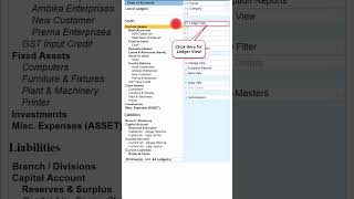 Ledger view from Chart of Accounts [upl. by Gilliam]