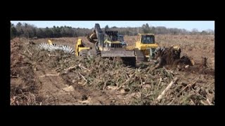 SAVANNAH LAND CLEARING STUMP PULLING ROTARY RAKING OFFSET DISKING FOR TIMBER TO FARM AND SOLAR [upl. by Ardnahsal]